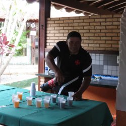 campeonato futebol principal 2013 69
